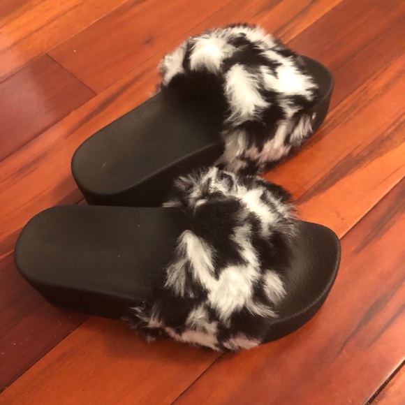 Zebra fur slides - Picture 3 of 6